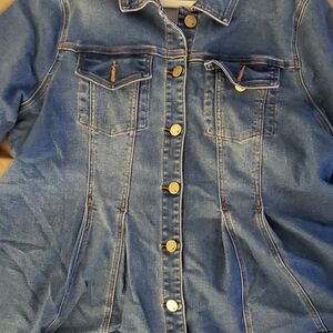 DG2 by Diane Gilman Gold and Blue Fitted Jean Jacket